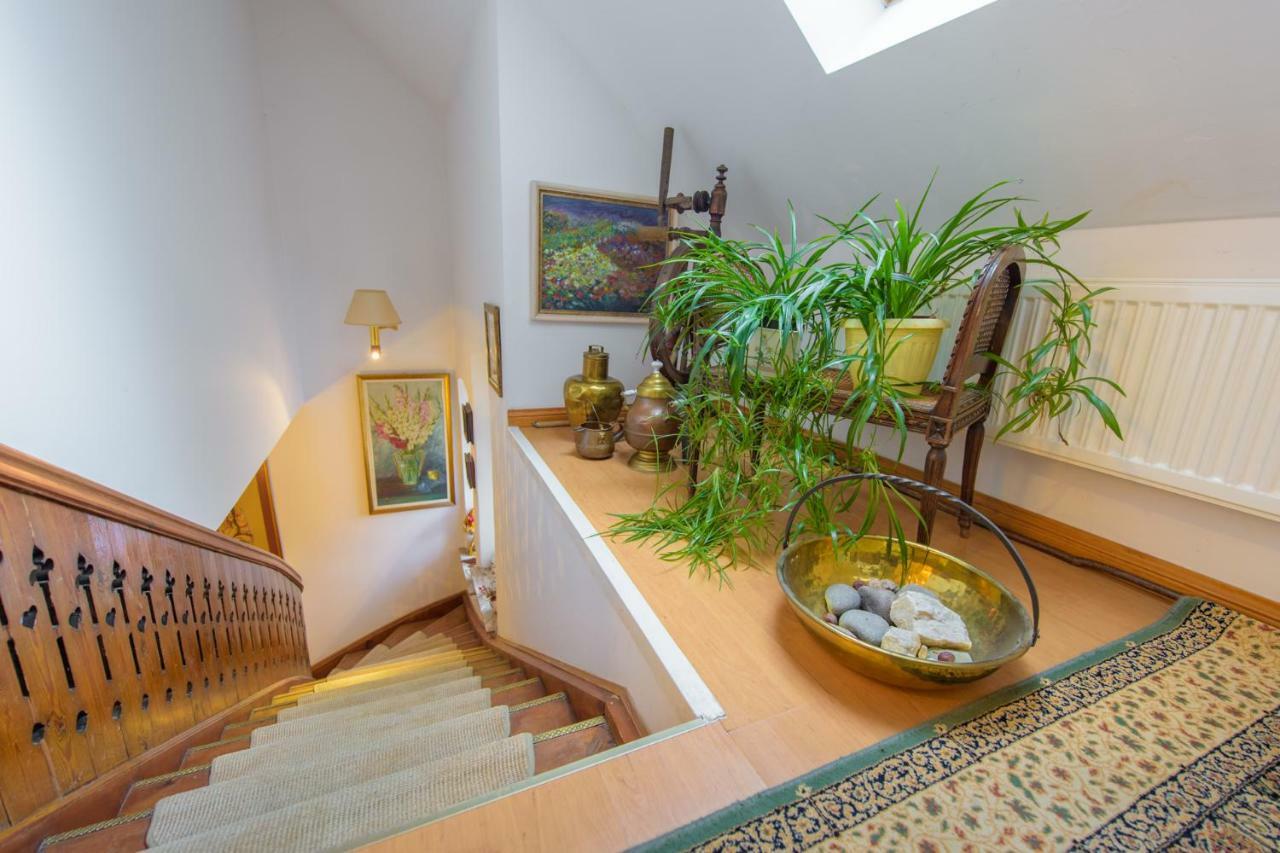Villa Parkowa 5 Świeradów-Zdrój Exteriör bild